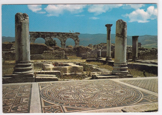 Carte Postale Couleur Cpsm Maroc Volubilis Ruines Romaines