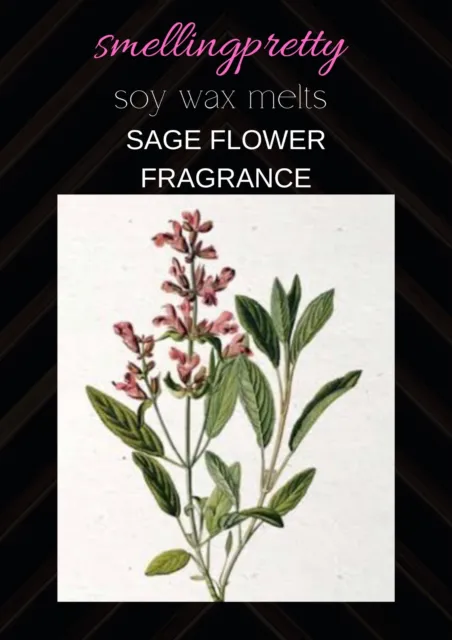 10 SAGE FLOWER Highly Scented Soy Wax Melt Pods 40hrs Burn Time Each