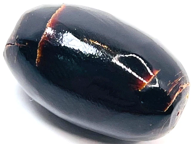 Vintage Hawaiian Black Coral Bead 22mm x 13mm Black Coral Bead ~ Pendant #8
