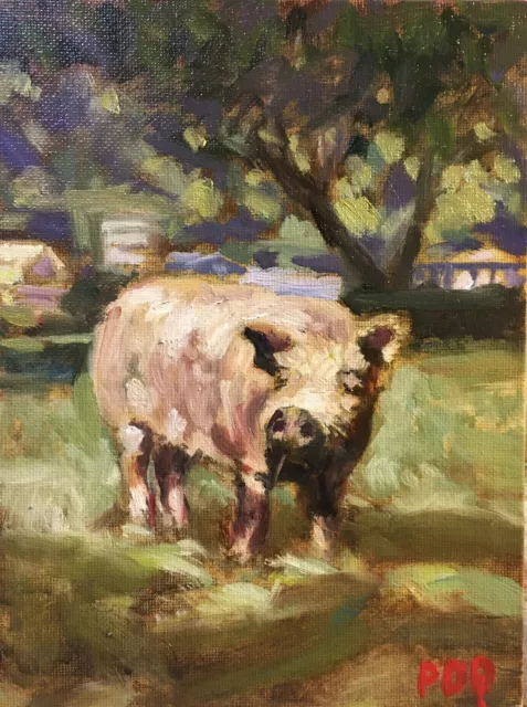 Artist PDQ Original Oil Painting Farm Animal Pig Alla-Prima Realistic Nature Art