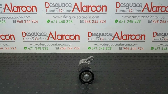 413886 Tendeur De Courroie Auxiliaire Pour Volkswagen Polo (6C1) | 04B903315