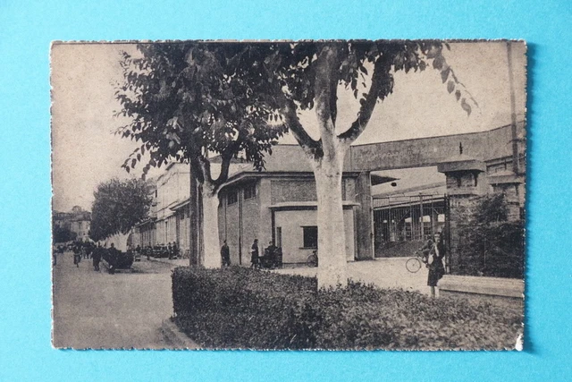Cartolina Vignola - Viale e Mercato Ortofrutticolo - 1930 ca.