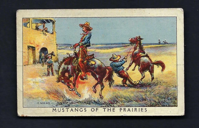 Thomson - Adventure Pictures - Mustangs Of The Prairies