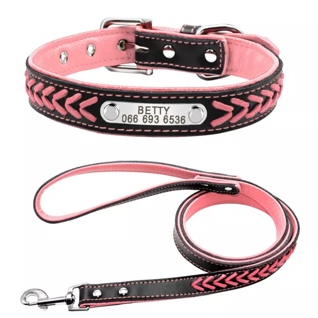 Braided Leather Personalised Pet Dog Collar and Matching Lead with Name Plate 3