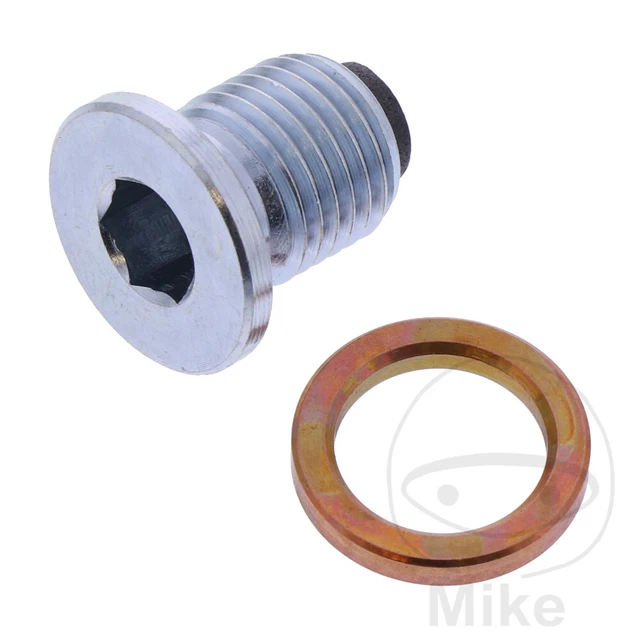 bike oil drain bolt