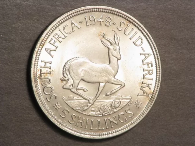 SOUTH AFRICA 1948 5 Shillings Silver Crown Unc