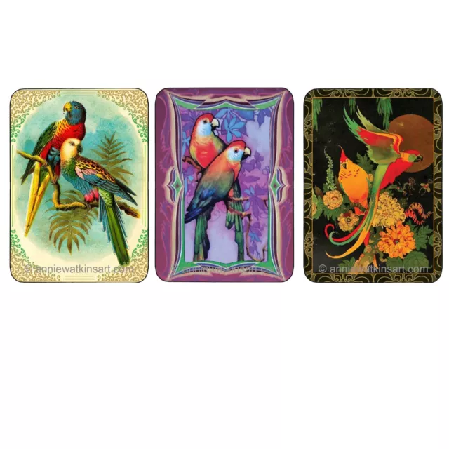 Three single  swap playing cards featuring colourful parrots