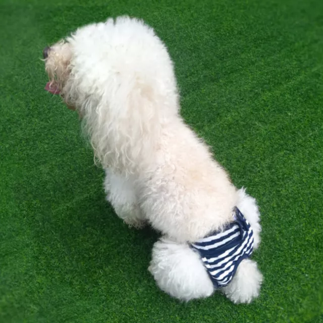 3 Pcs Dog Diaper Pants Reusable Washable Diapers Female Pet