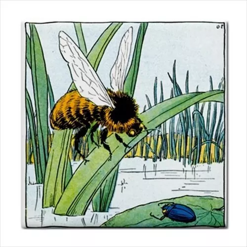 Bee Beetle Ceramic Tile Pond Insect Home Decor Wall Backsplash Border Art