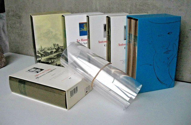 12 RHODOÏDS pour PLÉIADE avec 1er rabat. 40 OU 42 cm  JAQUETTE & LIVRE