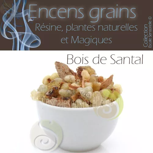 50g Encens en grains naturel Bois de santal purificateur protecteur Esotérisme