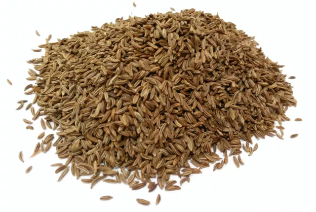 Caraway Seeds Whole Dried A Grade Premium Quality, Free UK P&P