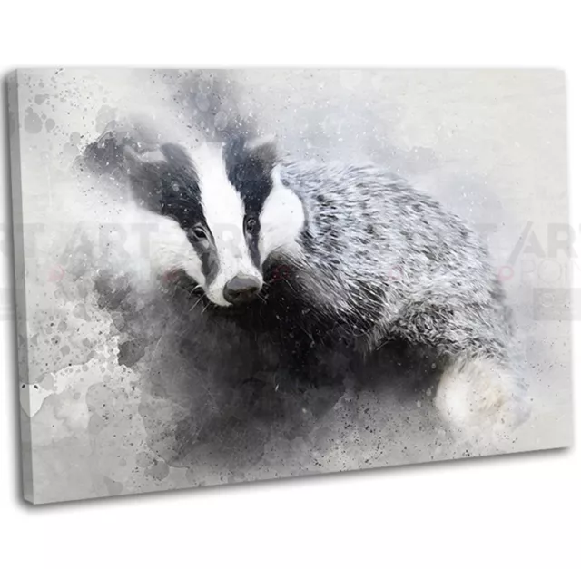 Badger Abstract Watercolour Canvas Print Framed Animal Wall Art Picture