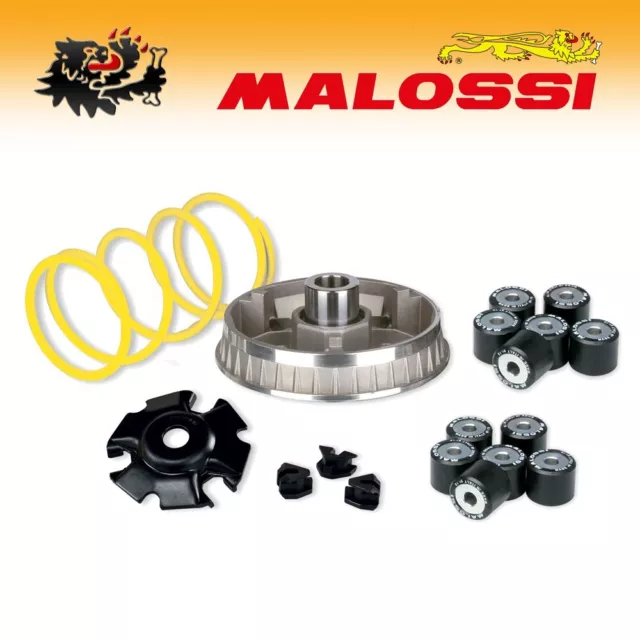 5111257 [Malossi] Variatore Multivar 2000 - Aprilia Leonardo / Scarabeo 125/150