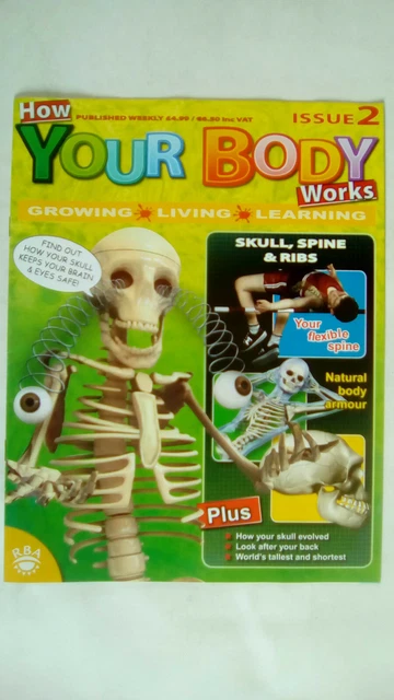 HOW YOUR BODY Works Magazine Issue 2 Magazine Only NO SKELETON MODEL ...