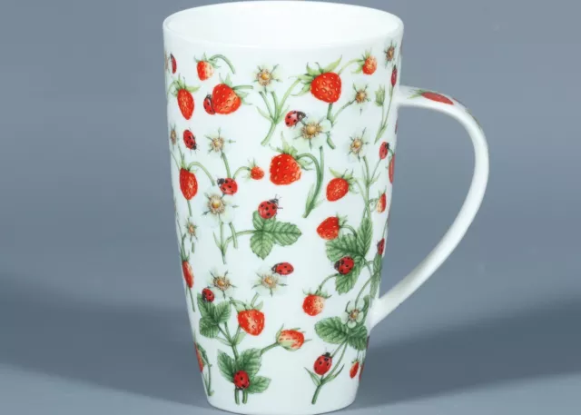 DUNOON DOVEDALE (Alpine Strawberries) Bone China HENLEY Mug