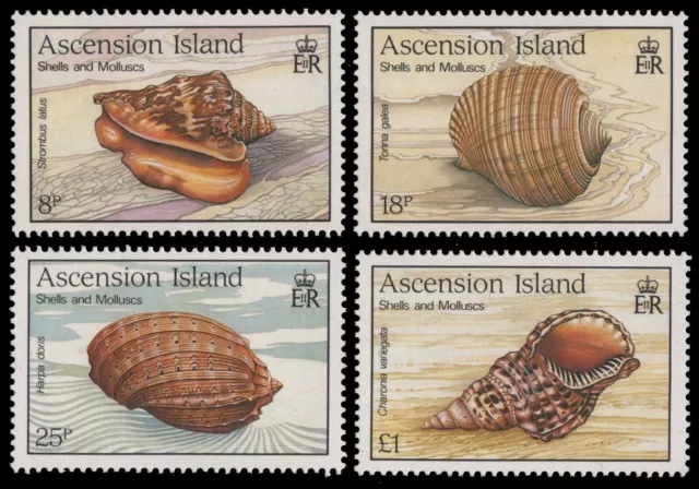 Ascension 1989 - Mi-Nr. 510-513 ** - MNH - Meeresschnecken / Marine snails