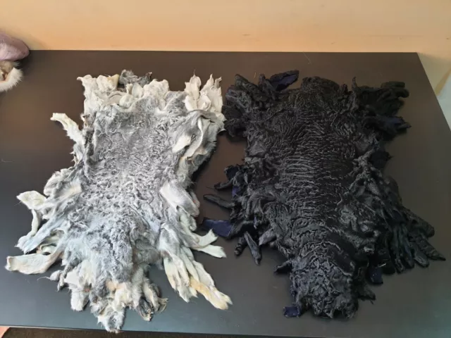 Karakul fur pelt,swakara, astrakhan pelts, fur skin, genuine fur, animal pelt, Karakul fur pelt,swakara, astrakhan pelts, fur skin, genuine fur, animal pelt,