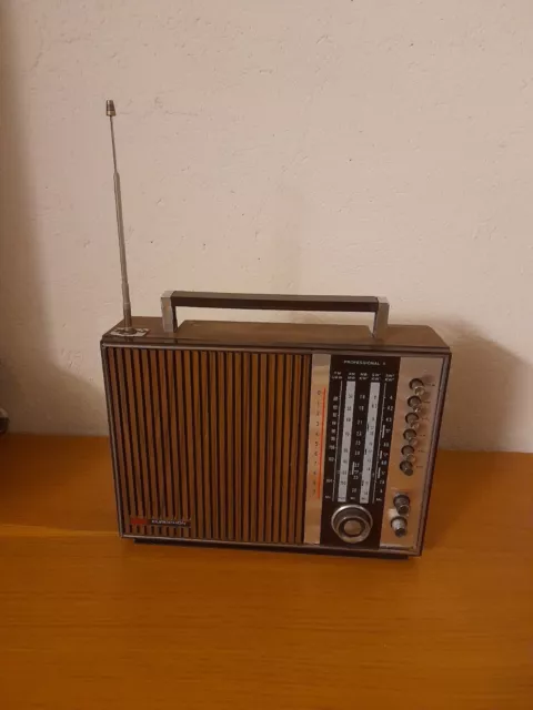 Radio Vintage Anni 70 Europhon Professional II