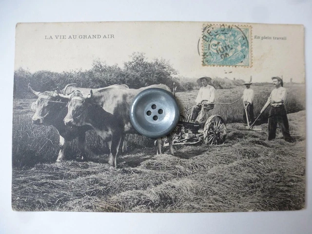 CPA Normandie Calvados - La Vie Au Grand Air : La Moisson, Début 1900