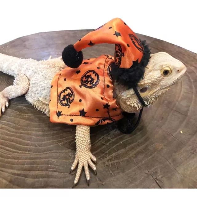 Polyester Cloth Lizard Costume Warm Cloak Set  Lizard