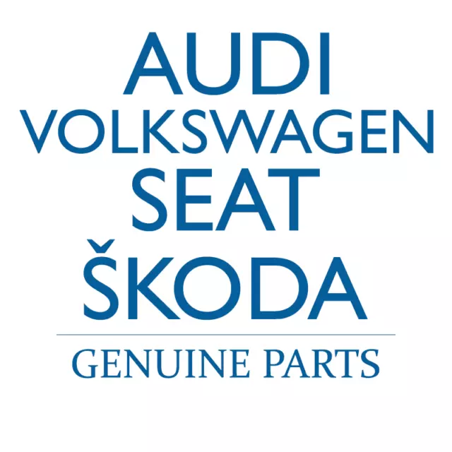 Original AUDI R8 4S3 4S9 4SP 4SR Reparatursatz für Vorladepumpe 0D4906271A