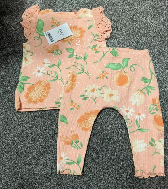 BNWT Next Baby Girl 2 Piece Outfit Set 3-6 Months