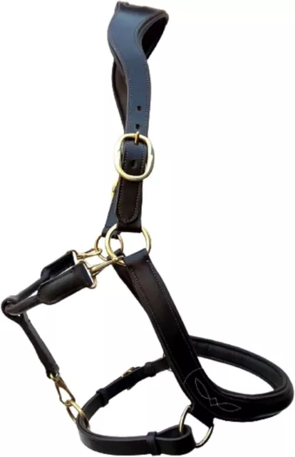 Fancy Horse English Padded Leather Show Halter And Western Halter Chain
