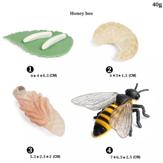Jouet éducatif cadeau simulé guêpe abeille pour apprendre le monde naturel