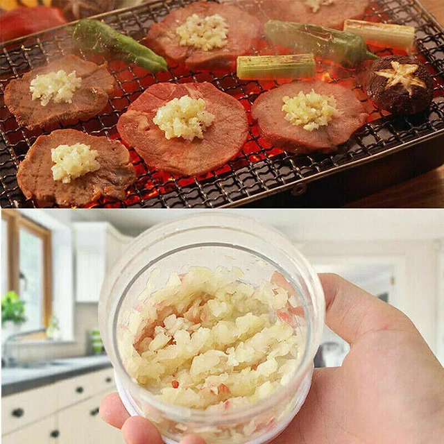 MANUAL HAND PRESS Garlic Onion Chopper Vegetable Food Cutter Processor