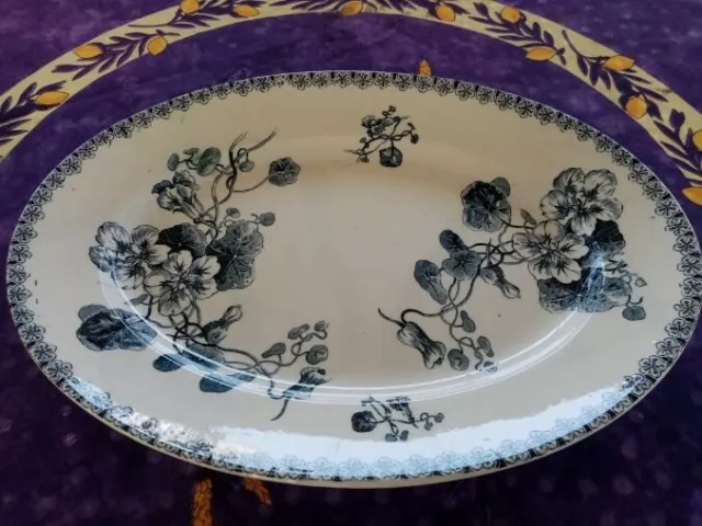 Plat de Service Ovale Porcelaine Opaque de Gien Terre de Fer Modèle Capucines