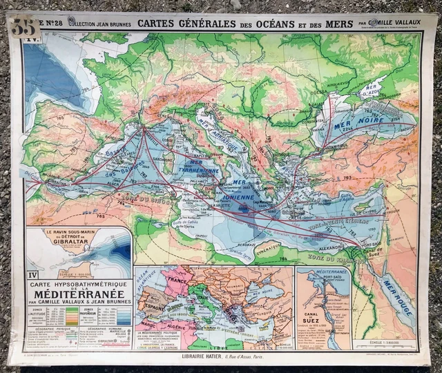 ANCIENNE AFFICHE SCOLAIRE Planche Deyrolle, carton, Œuf oiseaux Coq