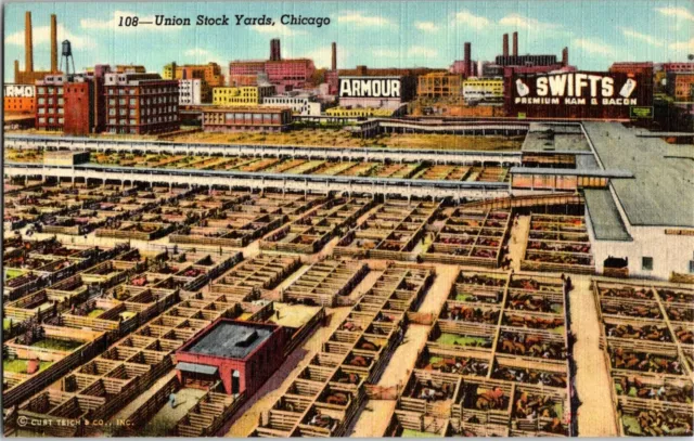 Postcard 1950 Union Stock Yards Armour Swifts Signage Chicago Illinois A75