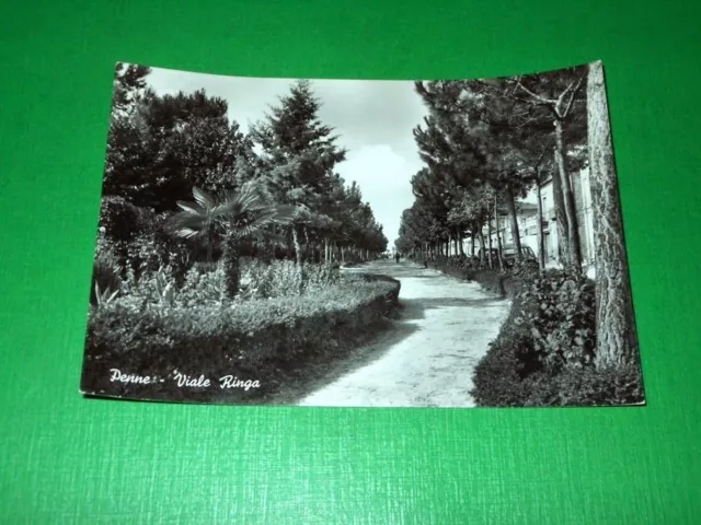 Cartolina Penne ( Pescara )  - Viale Ringa 1956