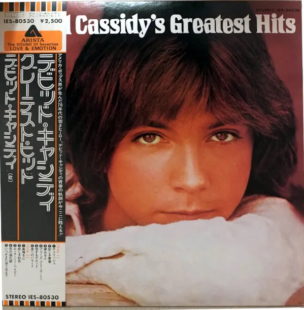 David Cassidy - David Cassidy s Greatest Hits / VG+ / LP, Comp, Promo