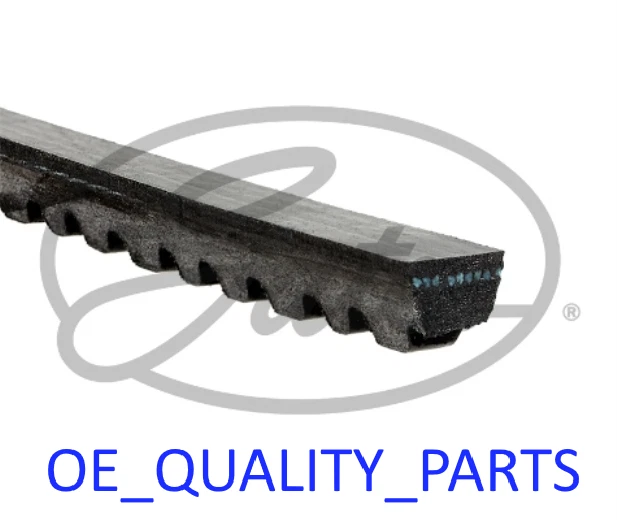 V-belt Belt Grooved Aux Fan Ribbed V-ribbed 6259MC