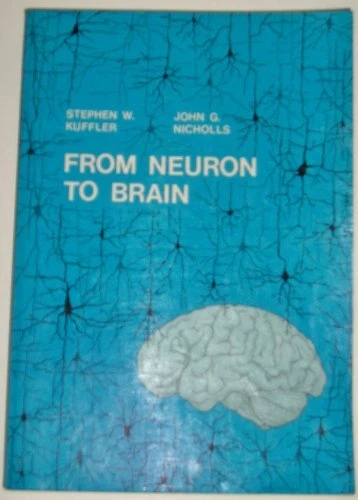 From Neuron to Brain: Cellular Approach to the Function of the N