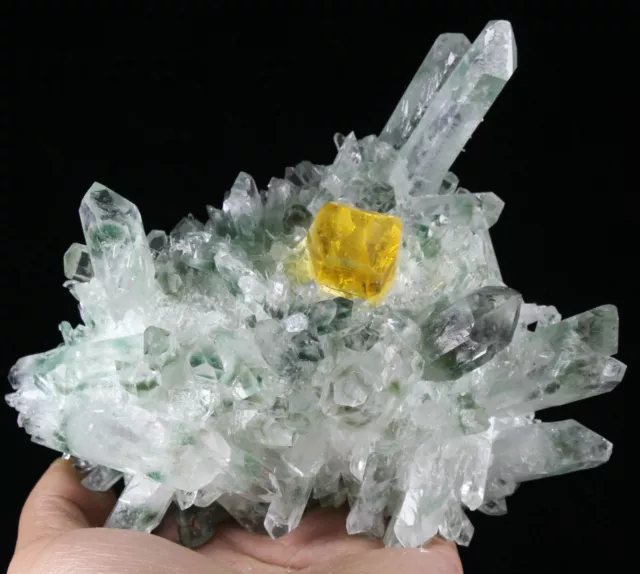 1.73 LB New Find Yellow Green Phantom Quartz Crystal Cluster Mineral Specimen