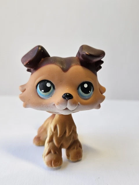 LPS #1664 LITTLEST Petshop Original Authentique Chien Beagle Dog Beagle