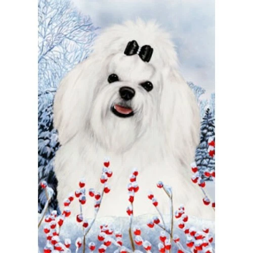 Winter House Flag - Maltese 15041