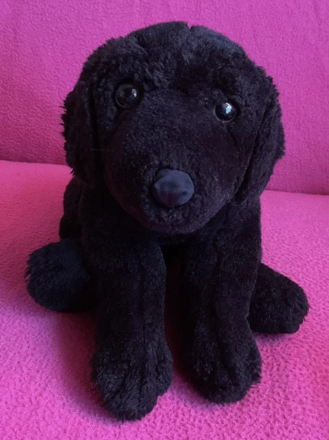 Animal alley black sales lab