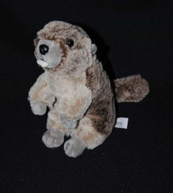 Peluche doudou castor marmotte Créations DANI marron brun chiné 17 cm NEUF