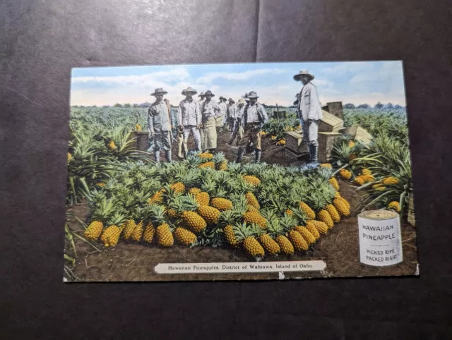 Mint USA Advertisement Postcard Hawaiian Pineapple Wahiawa Oahu