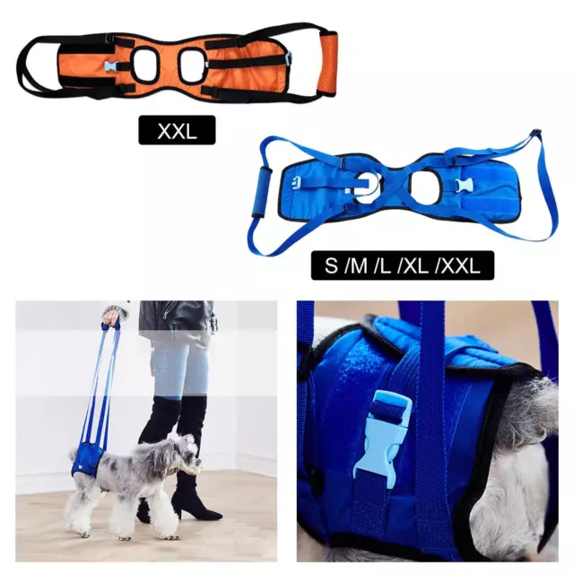 Pet  Walking Assistance Joint Dog Lift Support Harnais Canine Aid