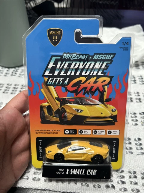 EVERYONE GETS A Car MSCHF Mr. Beast X-Small Toy Car Lamborghini