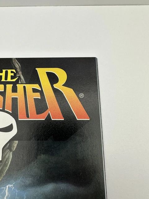 Punisher 1-4 Vol.4 Marvel Comic Set Complete Marvel Knights 1998 17