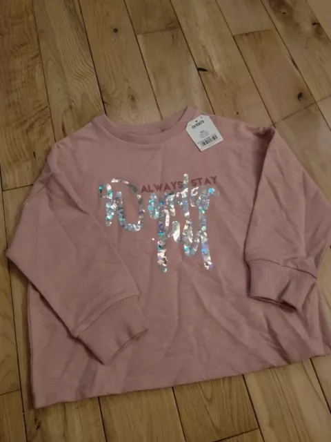 NEXT Girls Blush Pink Stay Wonderful Slogan Sweater Top Age 4 Years BNWT 💞