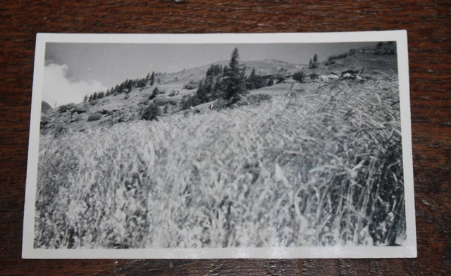Vintage 1956 Savoy Mountain Bessans Averolle Family Snapshot