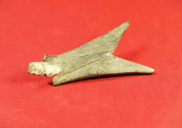 Ancient Roman Cikada Fibula or Brooch, Fly Fibula 2. Century, Zoomorphic