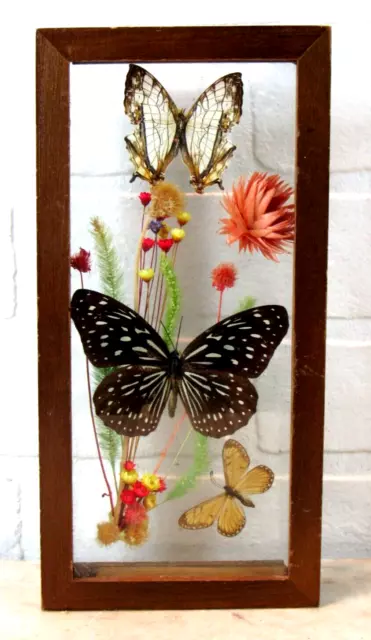 Vintage Pressed Dried Flower Framed Square Artwork W/ REAL Butterfly 1970s